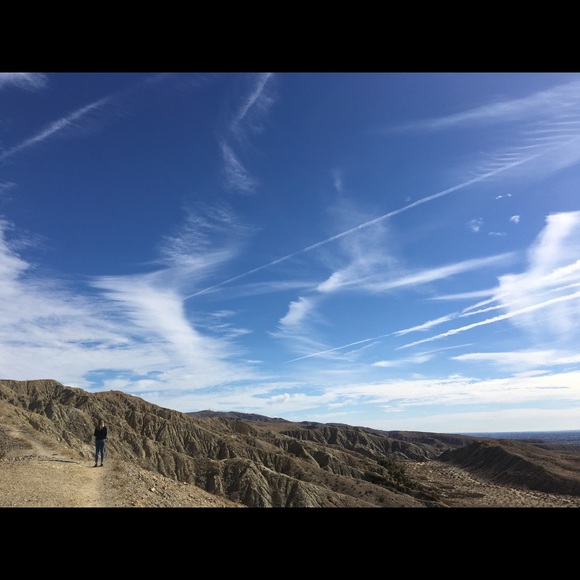 Meet your Posher, Holly - Picture 1 of 1